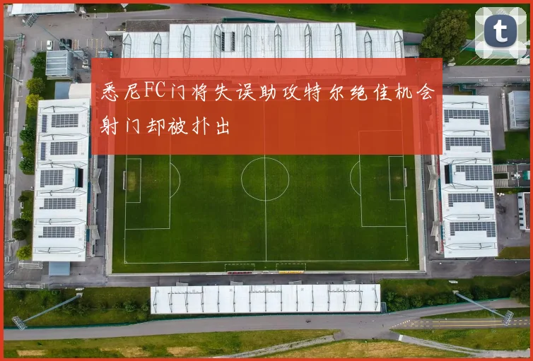 悉尼FC门将失误助攻特尔绝佳机会射门却被扑出